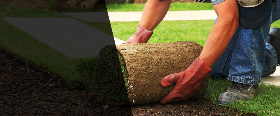 Chelmsford Landscapers